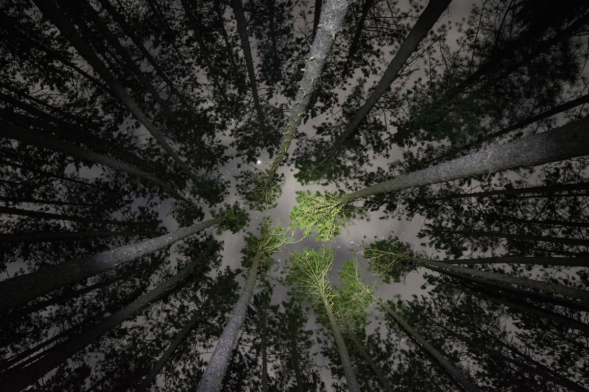 Impression de cadre personnalisé