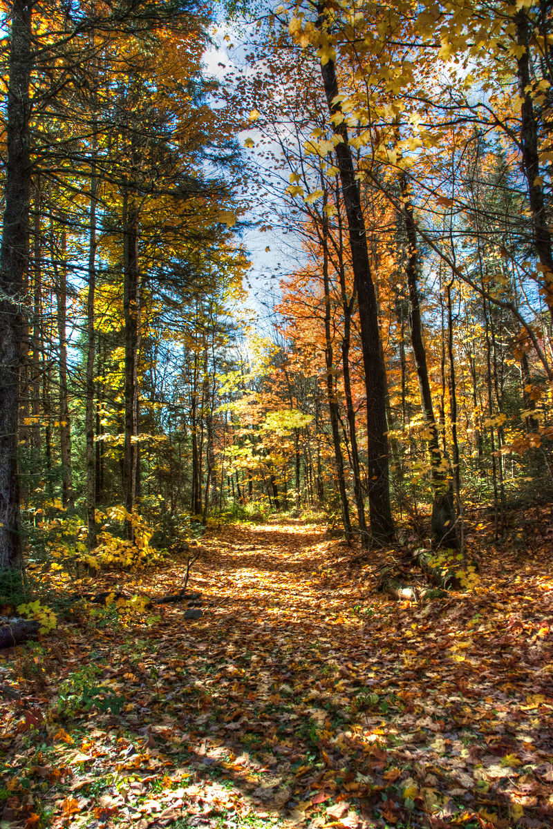 Impression de cadre personnalisé