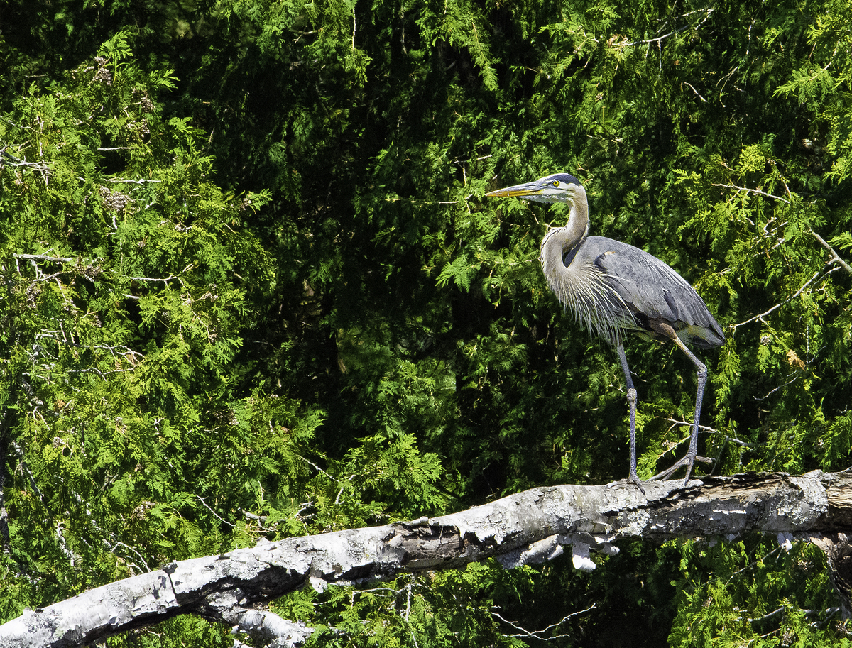 Impression de cadre personnalisé