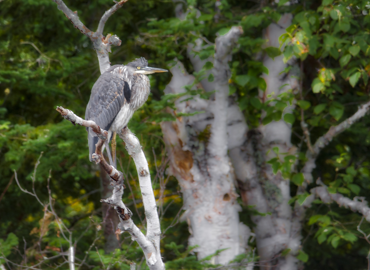Impression de cadre personnalisé