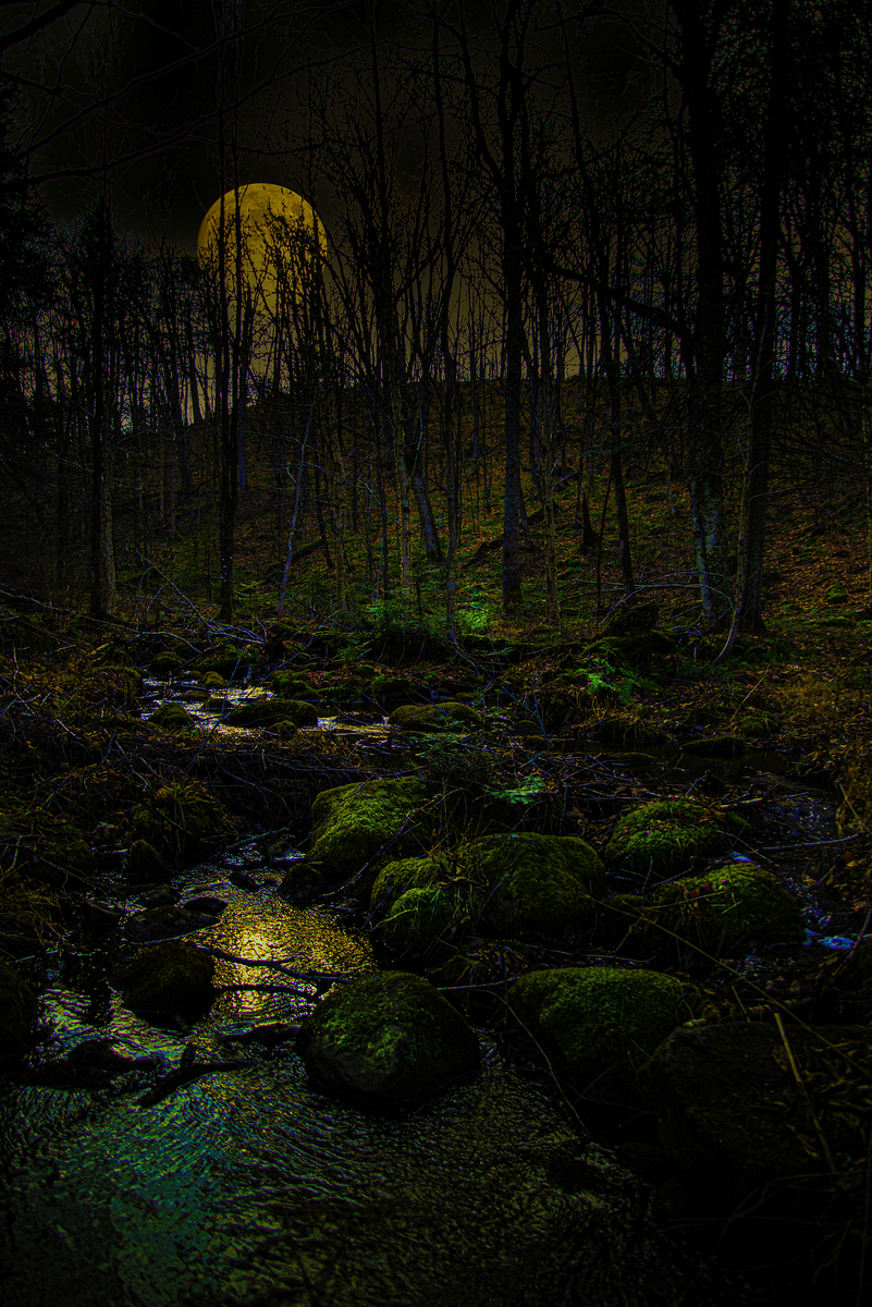 Impression de cadre personnalisé