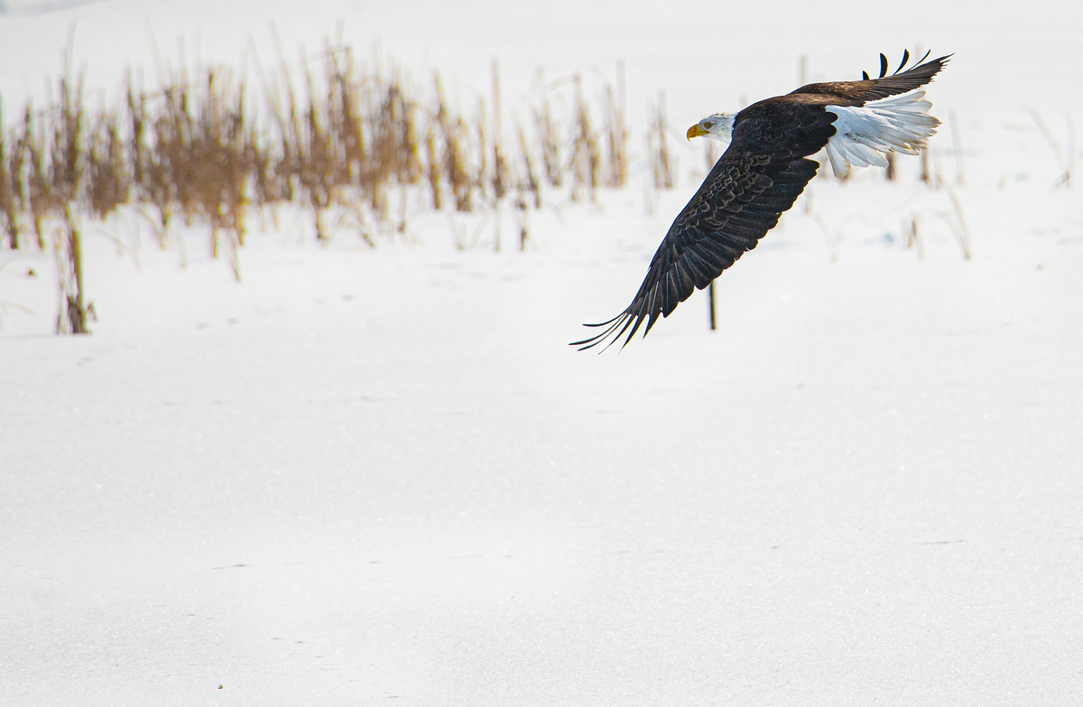 Impression de cadre personnalisé