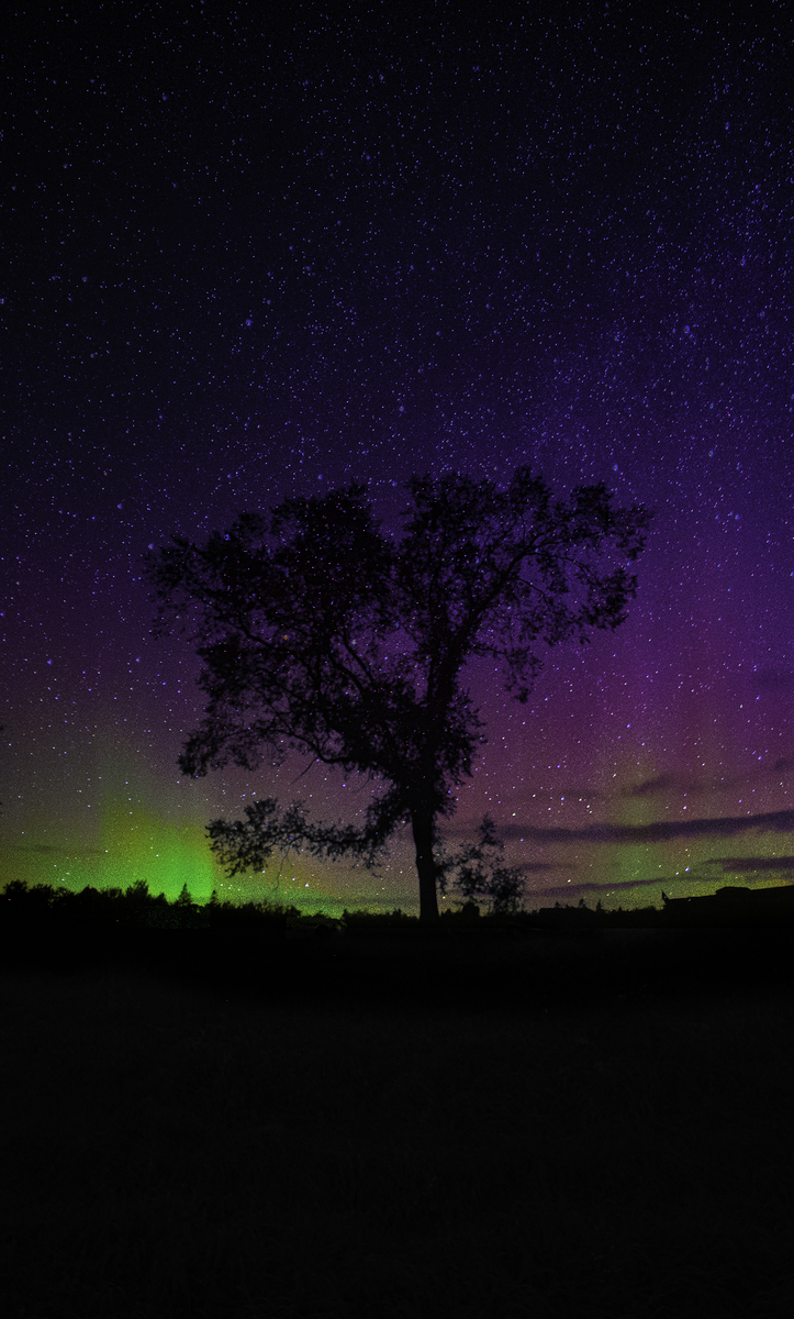Impression de cadre personnalisé