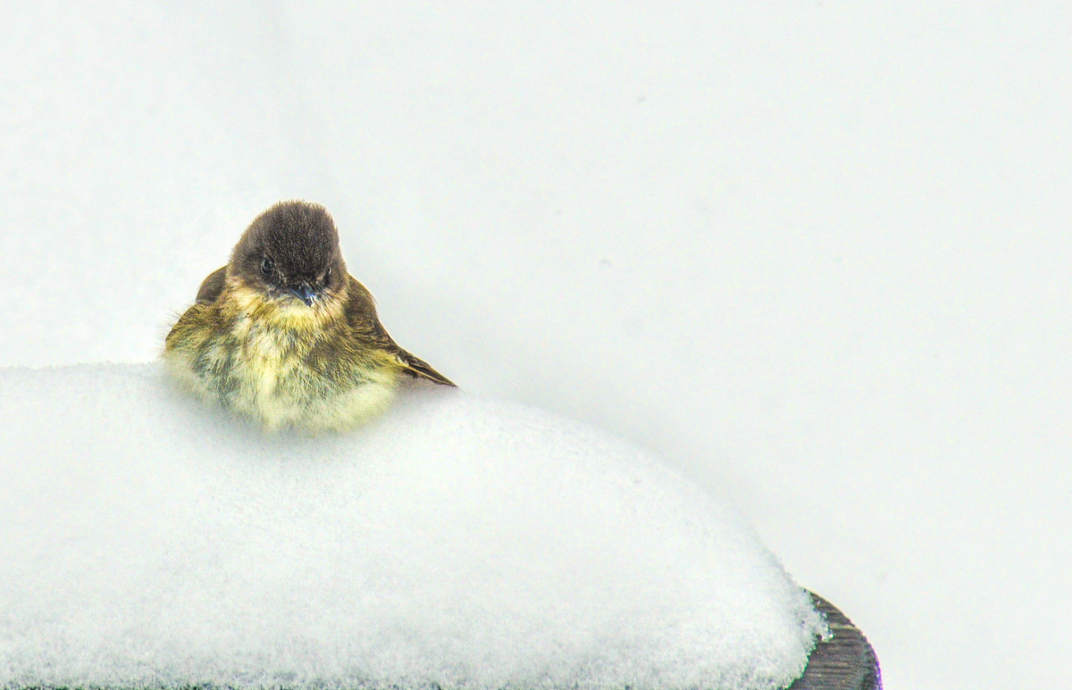 Impression de cadre personnalisé