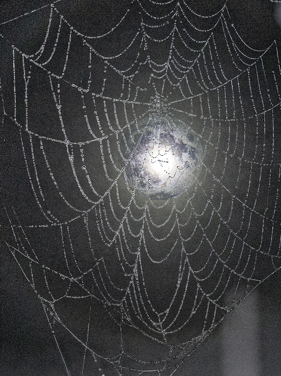 Impression de cadre personnalisé