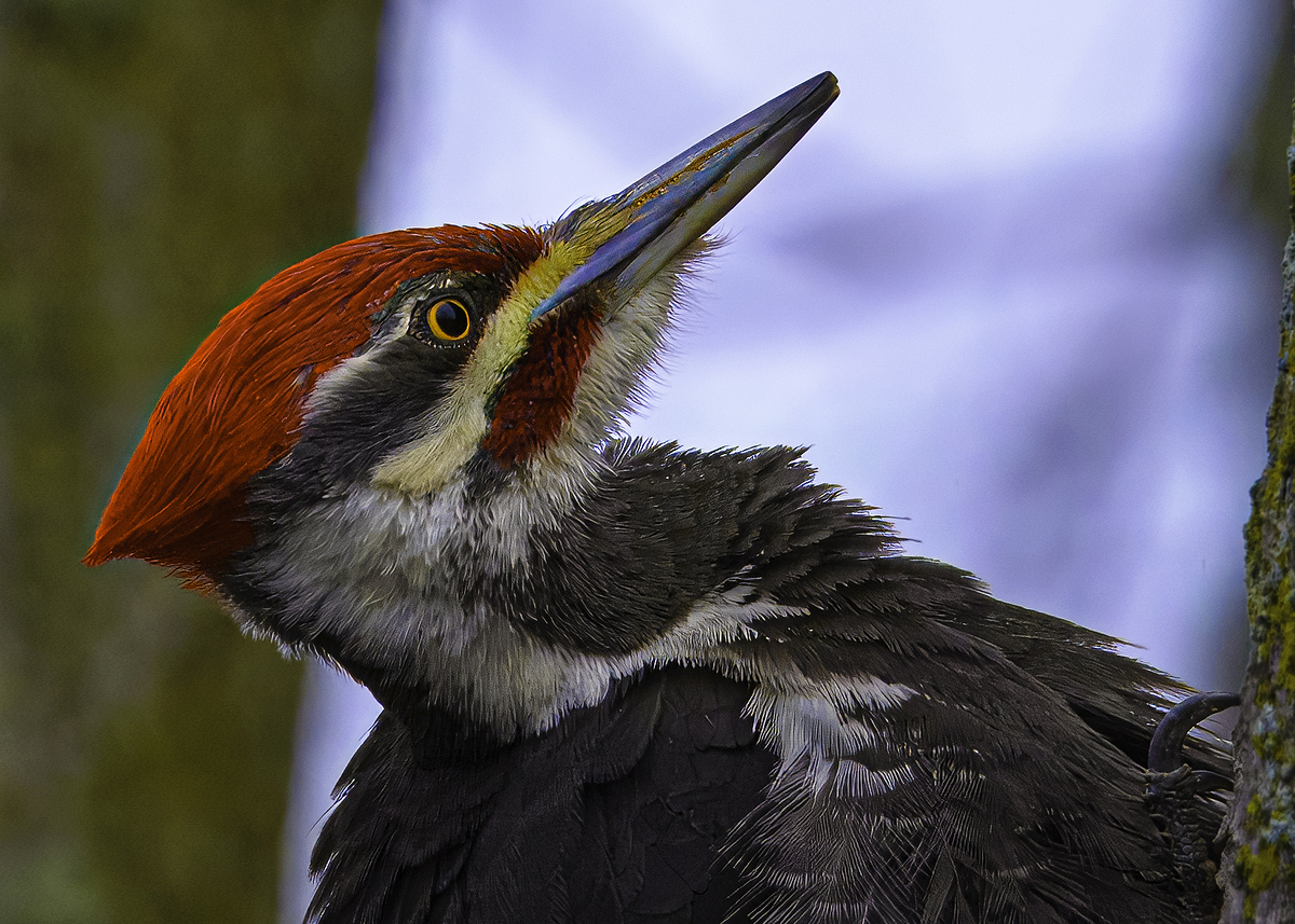 Impression de cadre personnalisé