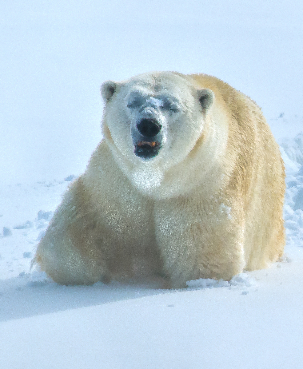 Impression de cadre personnalisé