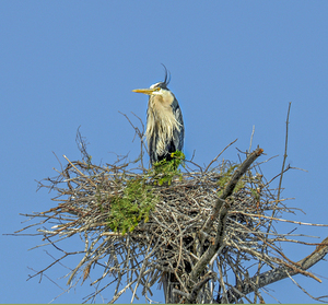 JBS 0860ED by James Shedden Photography