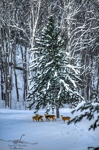 DSC 5638  by James Shedden Photography