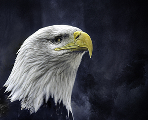 JBS 1282  by James Shedden Photography