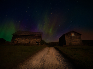 ZJS 8347  by James Shedden Photography