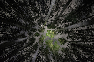 JBS 5553  by James Shedden Photography