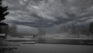 ZJS 6442  by James Shedden Photography