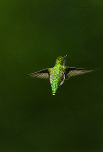 JBS 1467 by James Shedden Photography