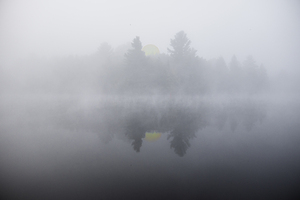 DSC 5615  by James Shedden Photography