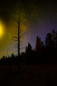 JBS 3723 by James Shedden Photography