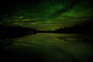 JBS 5561 by James Shedden Photography