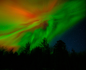 DSC 4390  by James Shedden Photography