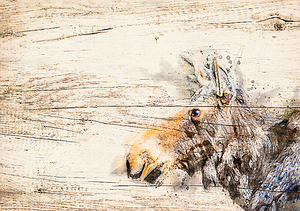 Cow Moose Abstract by James Shedden Photography