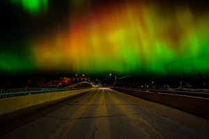 DSC 4366  by James Shedden Photography