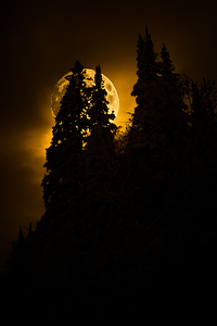 CRC 0731 by James Shedden Photography