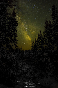 JBS 4430 by James Shedden Photography