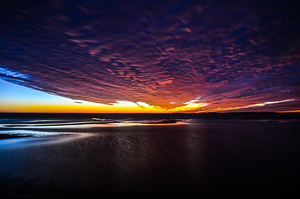 JBS 3798 by James Shedden Photography