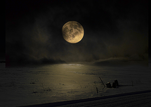 JBS 4030  by James Shedden Photography