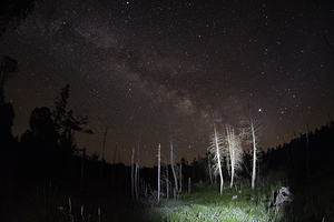 CRC 1492 by James Shedden Photography