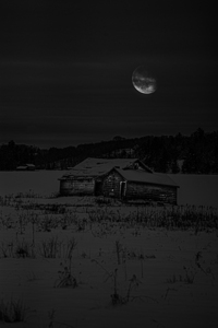 JBS 0143  by James Shedden Photography