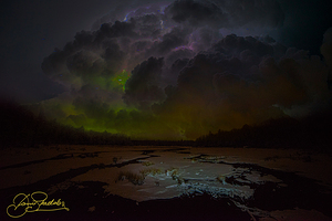 JBS 8015  by James Shedden Photography