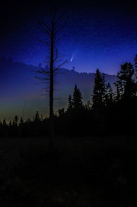 JBS 3699 3 by James Shedden Photography