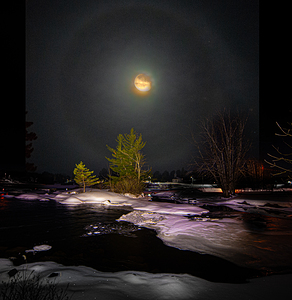 DSC 4341  by James Shedden Photography