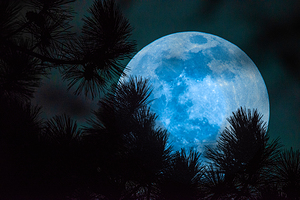 JBS 0093  by James Shedden Photography