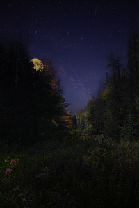 DSC 5763  by James Shedden Photography