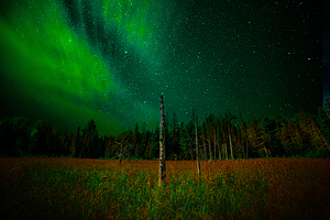 DSC 2076  by James Shedden Photography