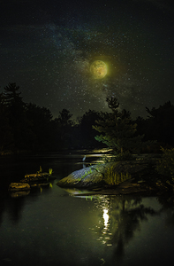 JBS 1098  by James Shedden Photography