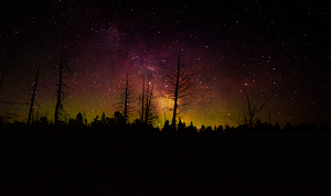 JBS 1455 2 by James Shedden Photography