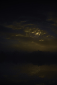 JBS 3568  by James Shedden Photography