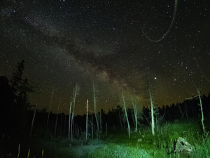 CRC 1493 by James Shedden Photography