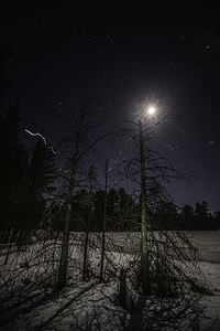 JBS 0579  by James Shedden Photography