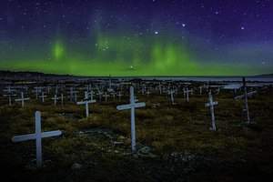 JBS 6175  by James Shedden Photography