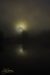 JBS 4756  by James Shedden Photography