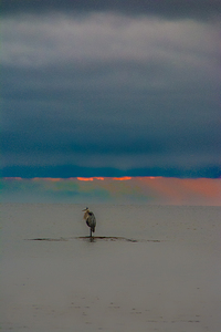 JBS 4325 by James Shedden Photography