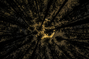 JBS 5549  by James Shedden Photography