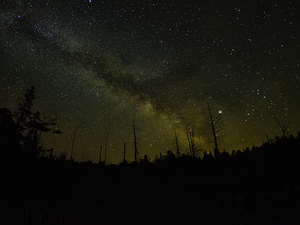 CRC 1490 by James Shedden Photography