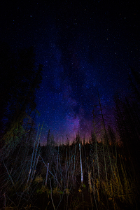 JBS 0760  by James Shedden Photography