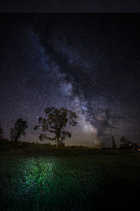 JBS 3444  by James Shedden Photography