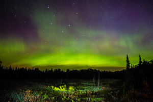 JBS 2351 by James Shedden Photography