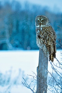 jbs 5420-2 by James Shedden Photography